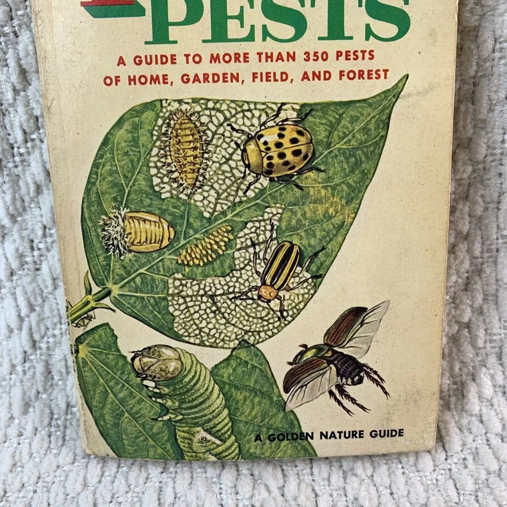 1966 A Golden Nature Guide INSECT PESTS by Herbert Zimm Home Garden Field Forest - Picture 3 of 16